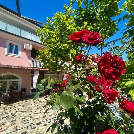Apartments Tereza Новиград Экстерьер фото